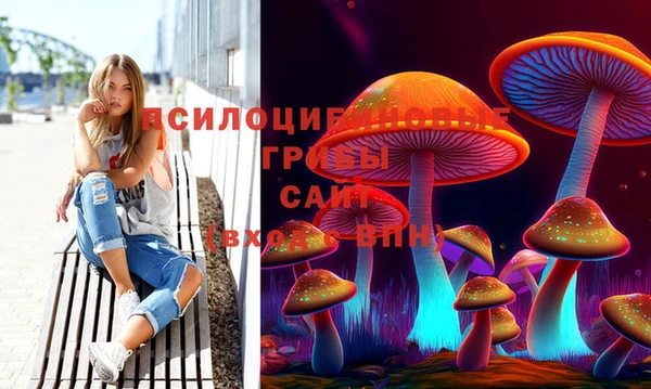 ALPHA-PVP Богородицк