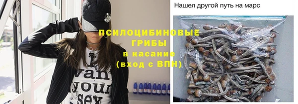 ALPHA-PVP Богородицк