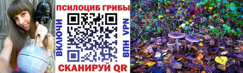 Псилоцибиновые грибы мицелий  мега tor  Симферополь 